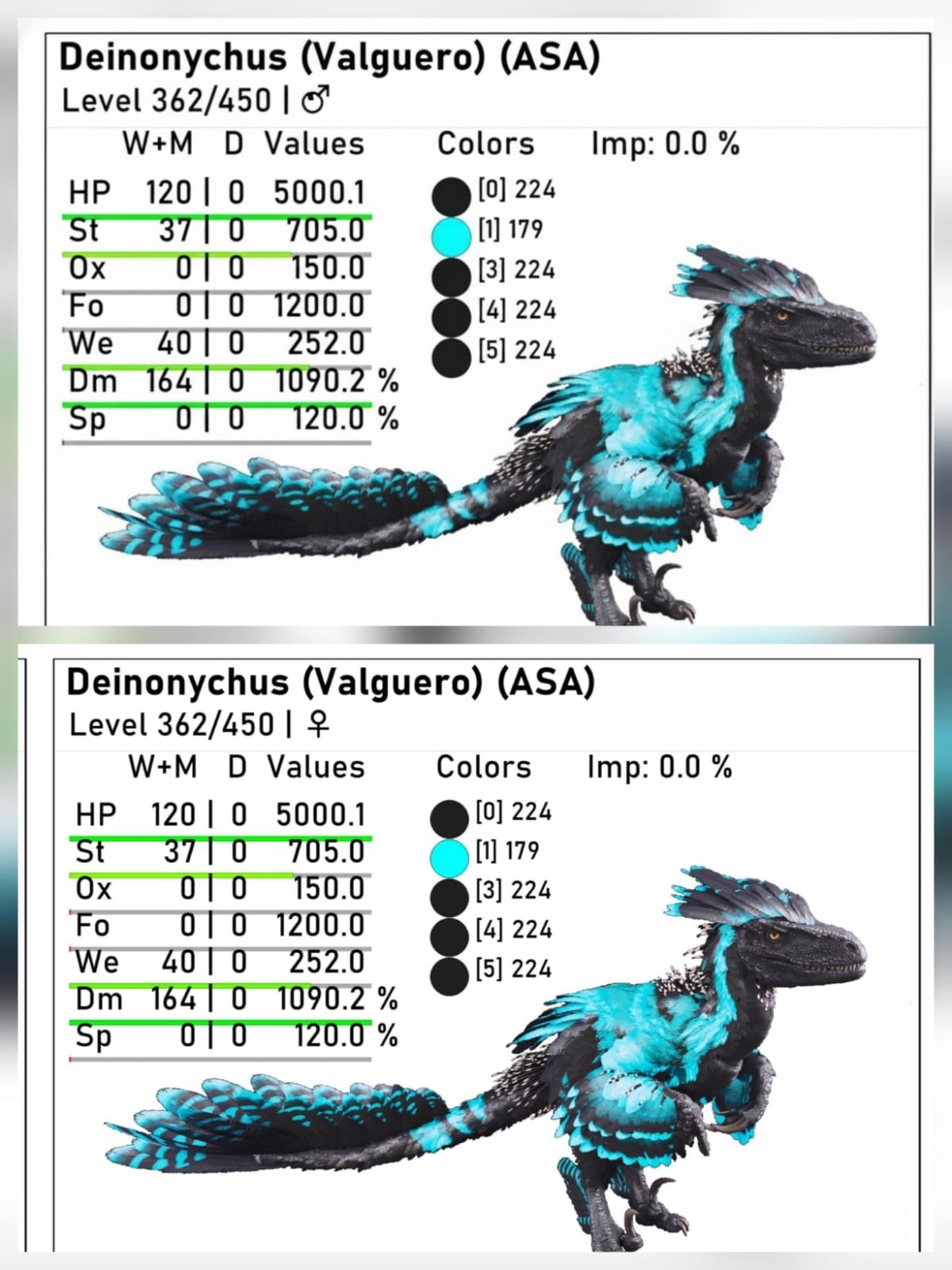 New top Deinonychus adult breeding pair level 362 Ark Ascended PVE PC/XBOX/PS5