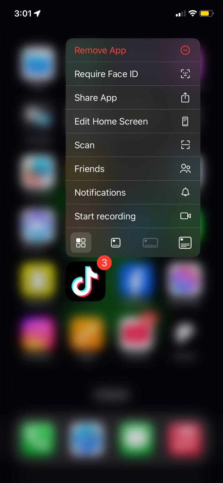 iPhone 11 Come With TikTok