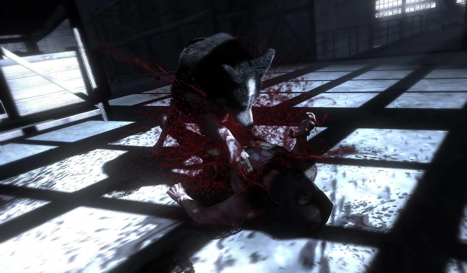 Dead to Rights Retribution PS3 PlayStation 3 Bandai Namco CERO : D From Japan