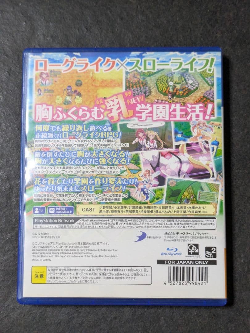 Labyrinth Life Sony PlayStation4 Operation Confirmed Japan ver Used w/ Case