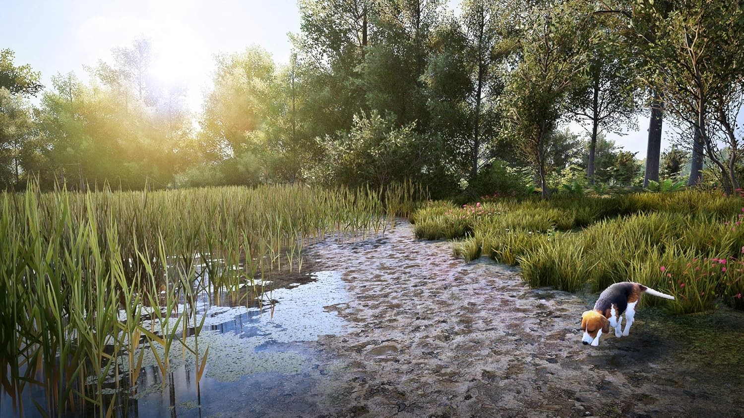 *NEW* Hunting Simulator 2 – PS4