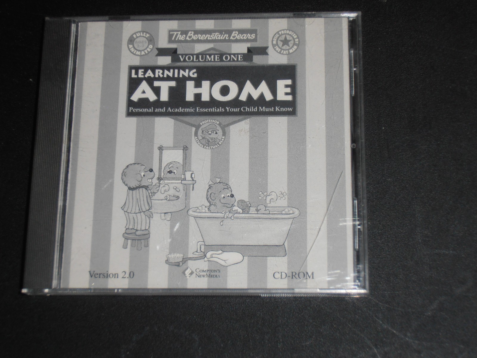 Berenstein Bears Learning at Home Vol.1 (PC, 1993) With Original Case