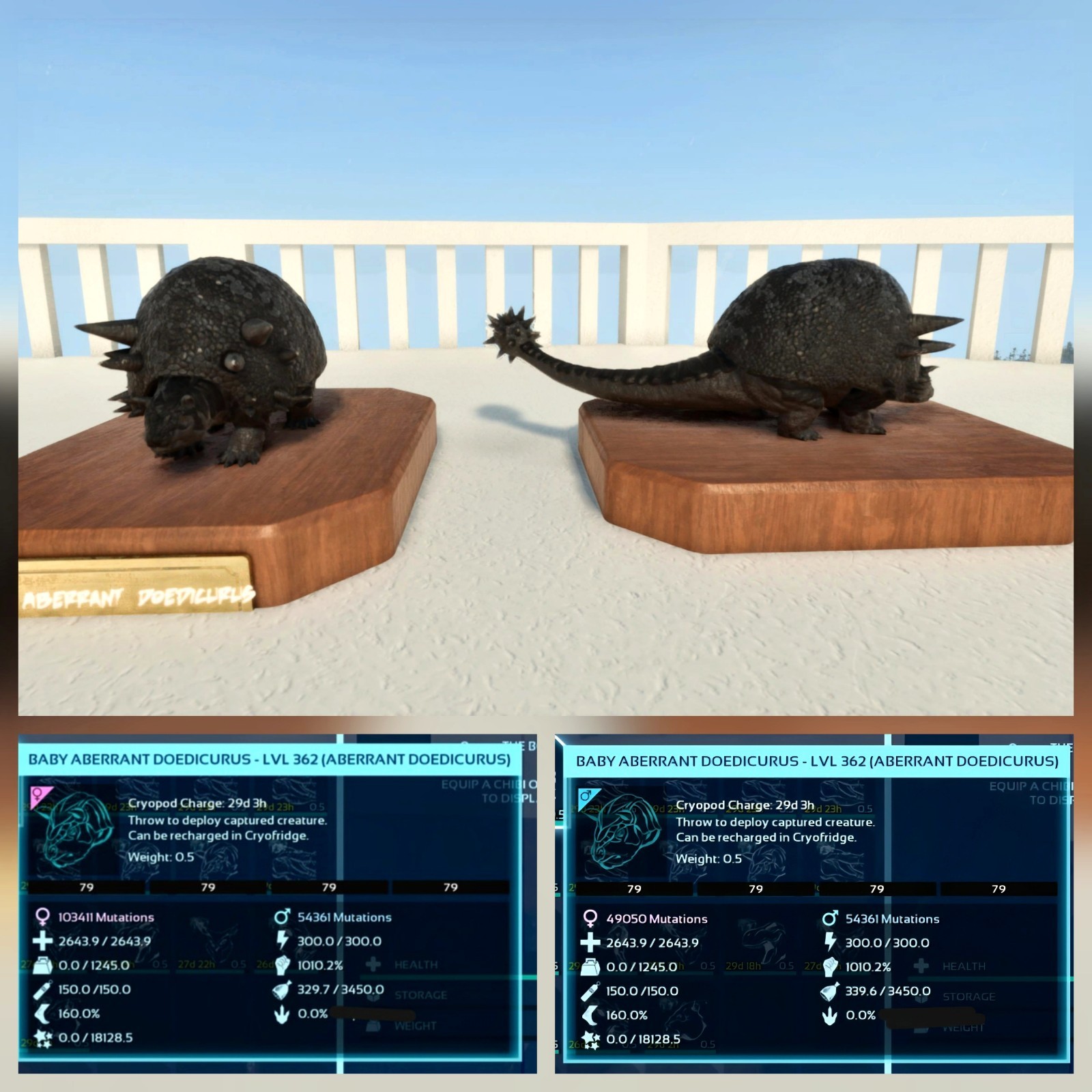 DOEDICURUS ABERRANT BLACK ID79 TOP WEIGHT PAIR BABY ARK ASCENDED PVE PC/XBOX/PS5