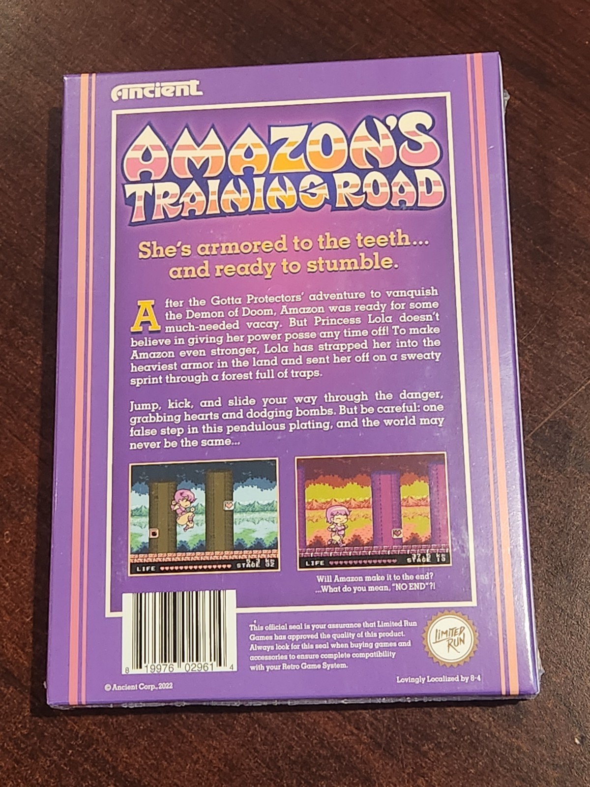 Ships Fast & Safe! Amazon’s Training Road – Nintendo NES – Limited Run Games