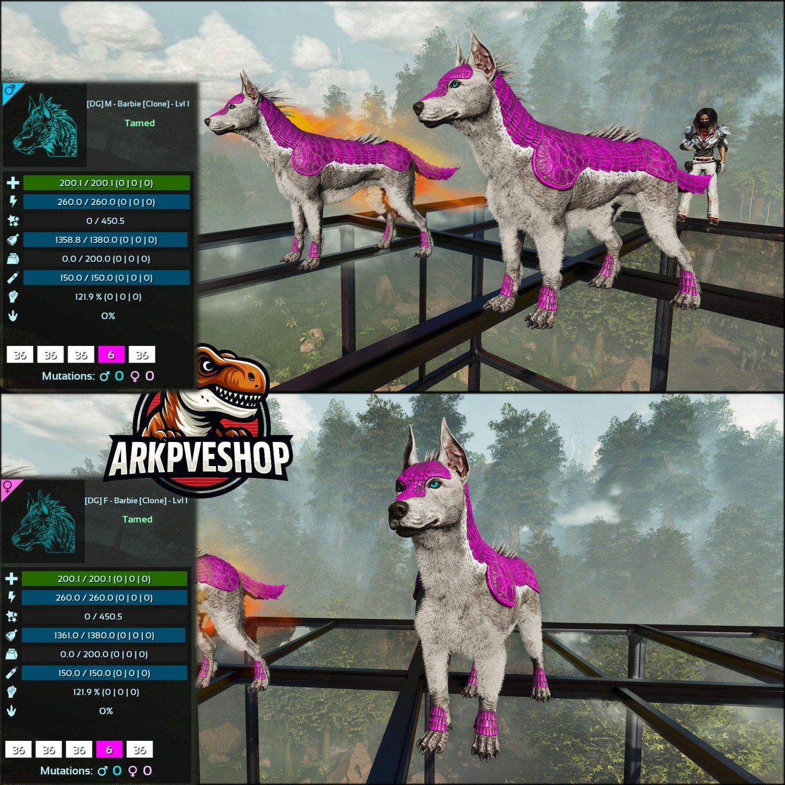 ASA PVE 🦖ARK Survival Ascended Armadoggo Lvl 1 Clone