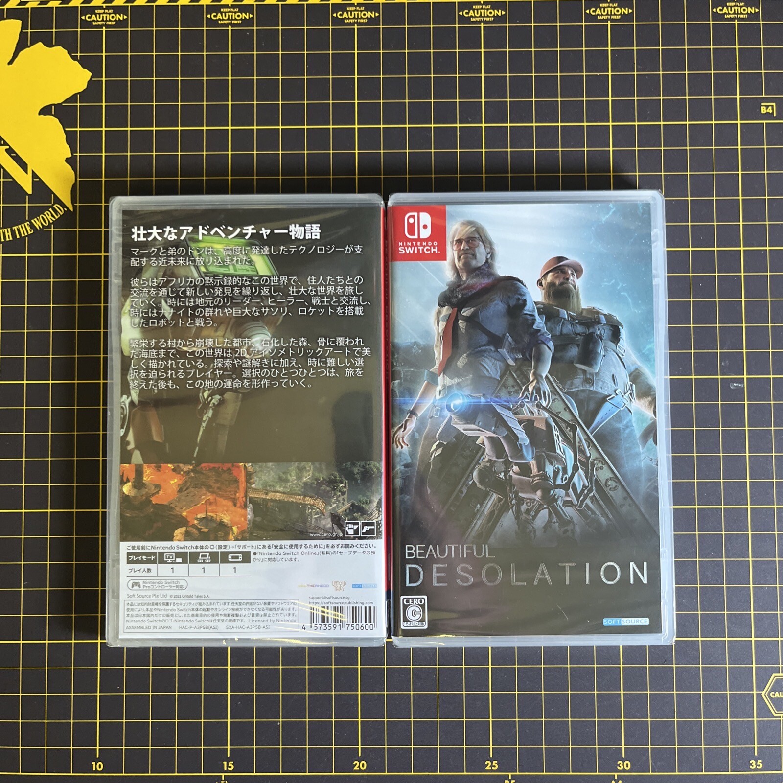 Nintendo Switch BEAUTIFUL DESOLATION Multilingual Adventure RPG SOFTSOURCE NEW