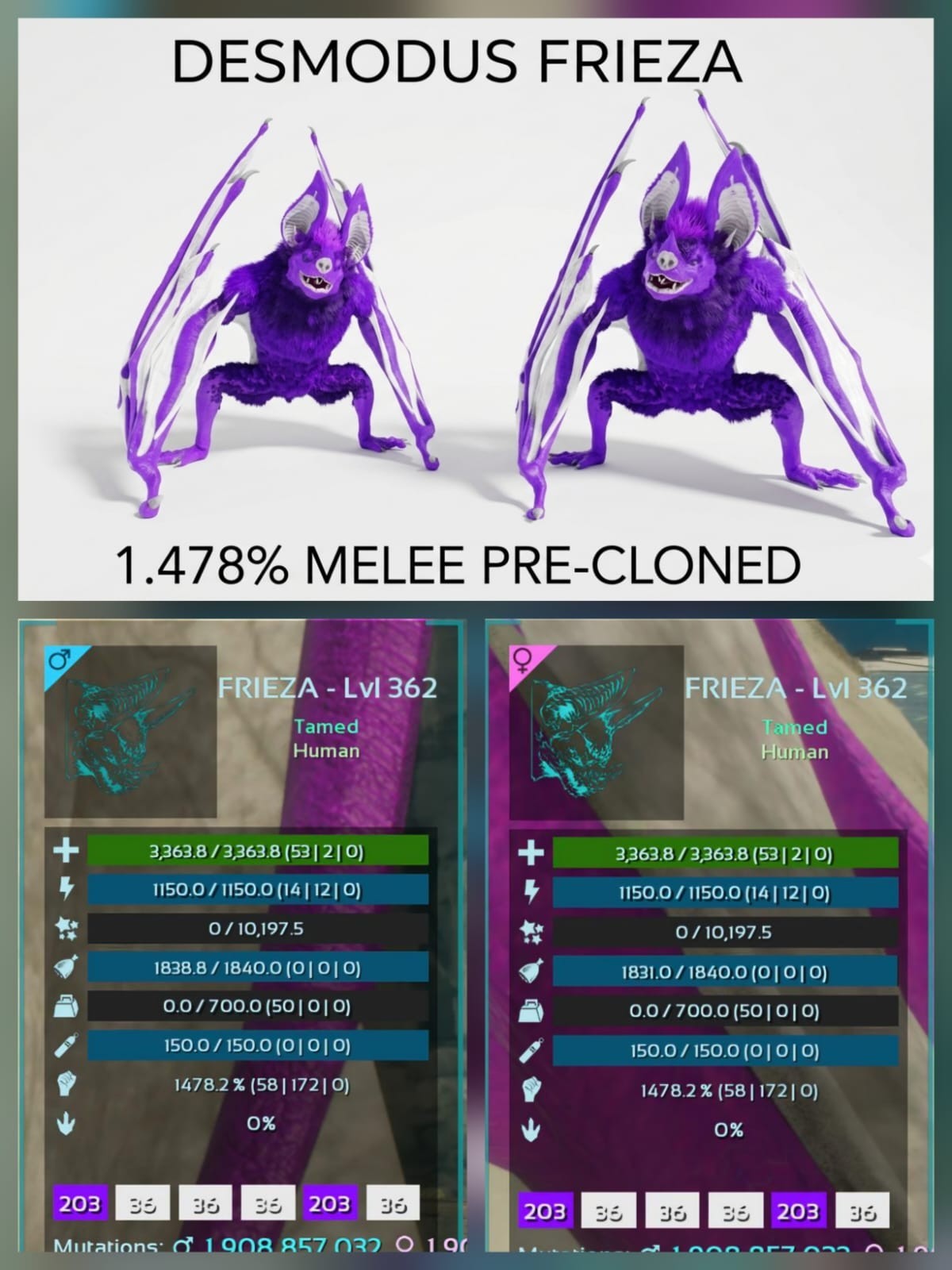 Desmodus Pre-Clone Breeding Pair – Top Melee – Ark Asa Official PVE PC/XBOX/PS5