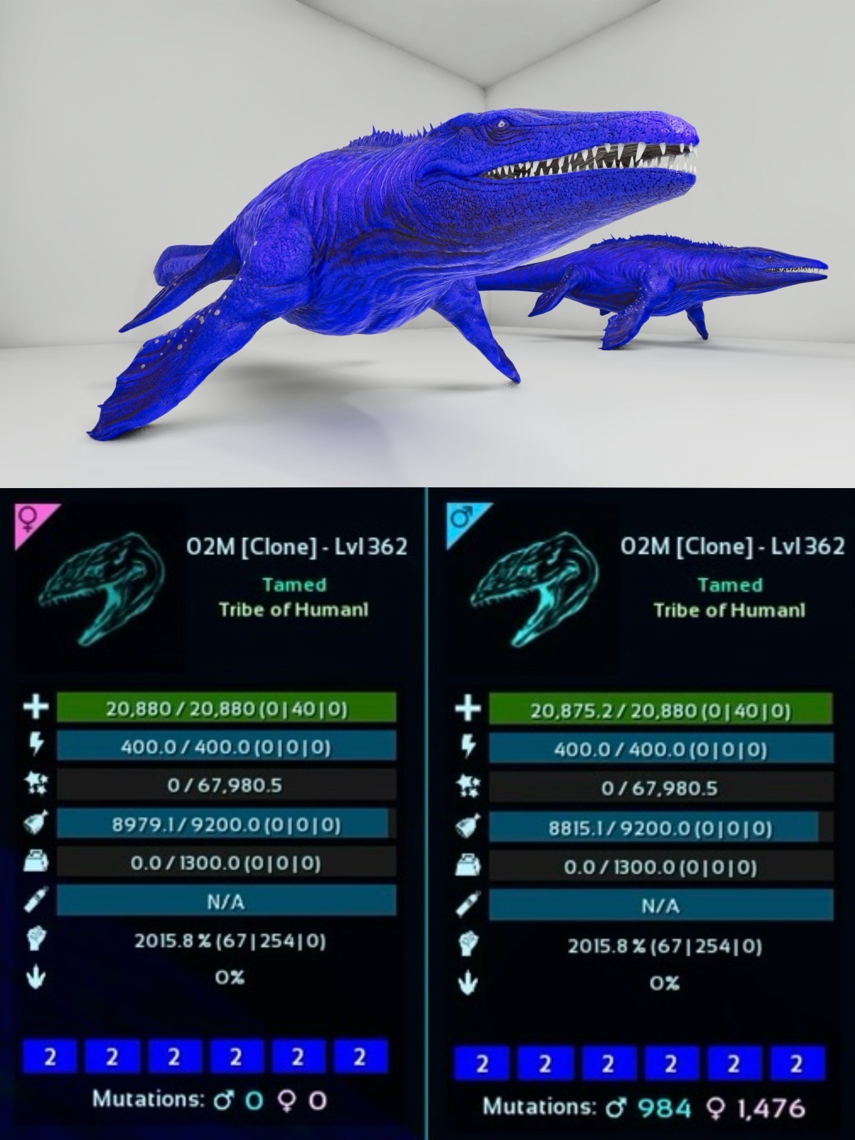 Mosasaurus Level 362 Pair Clone ARK🦕 Survival Ascended ASA PVE PC/XBOX/PS