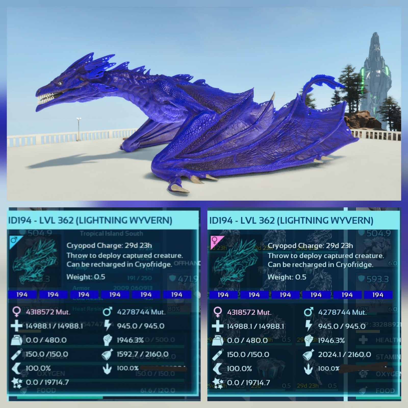 WYVERN LIGTHNING FULL COLOR PAIR ADULT 100% IMPRINT ARK ASCENDED PVE PC/XBOX/PS5