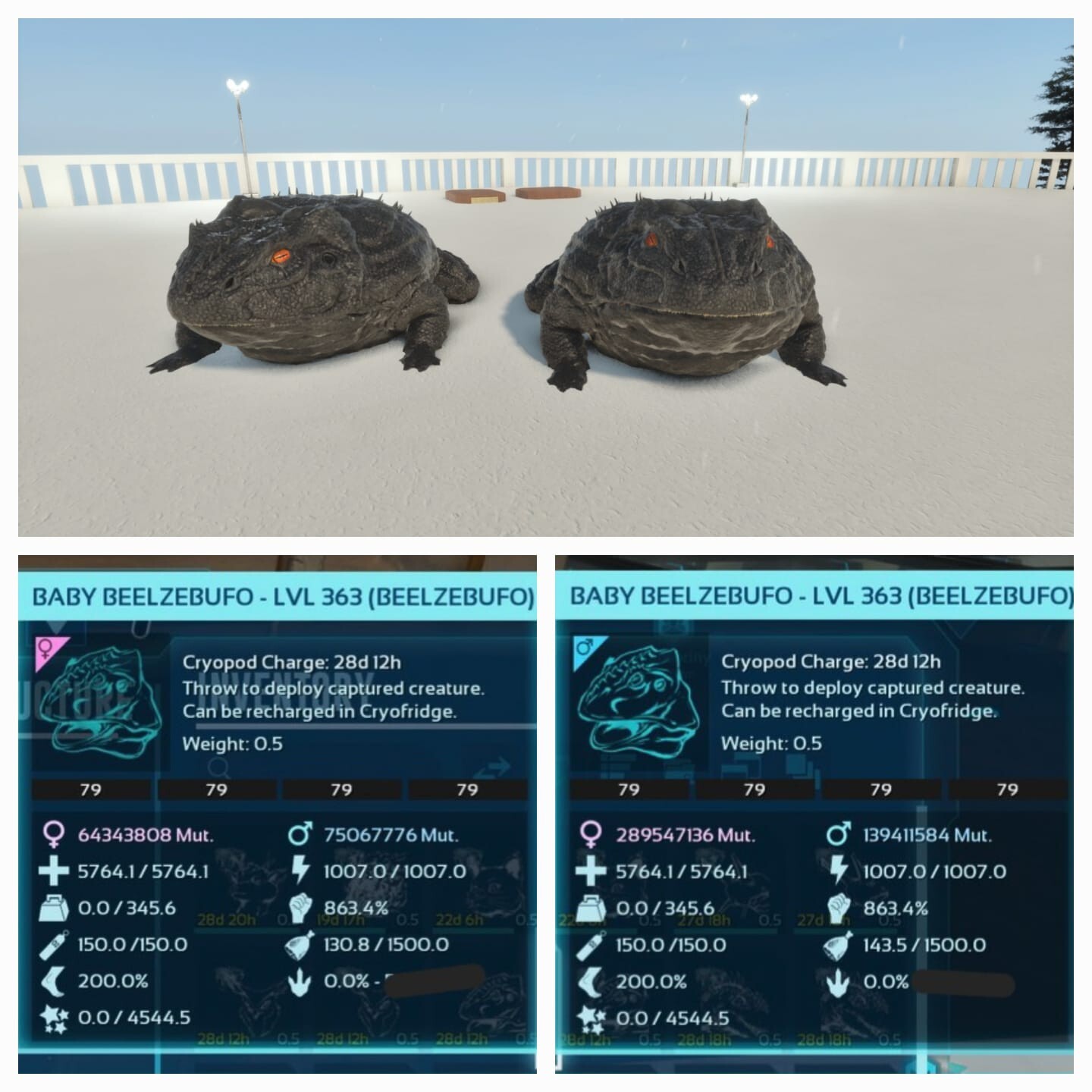 Ark Asa Pve Official Baby Pair Beelzebufo High Status Pc/PS5/Xbox