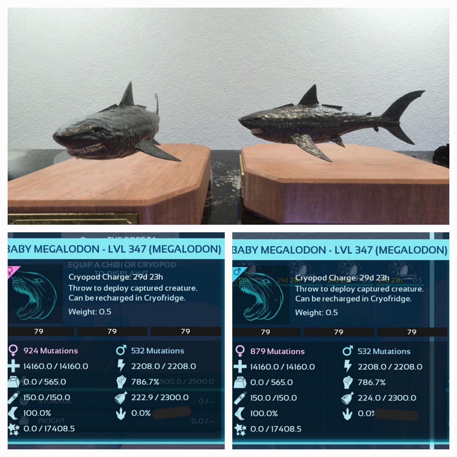 ARK ASCENDED PVE OFICIAL PAIR BABY MEGALODON BLACK ID79 TOP STATUS PC/XBOX/PS5
