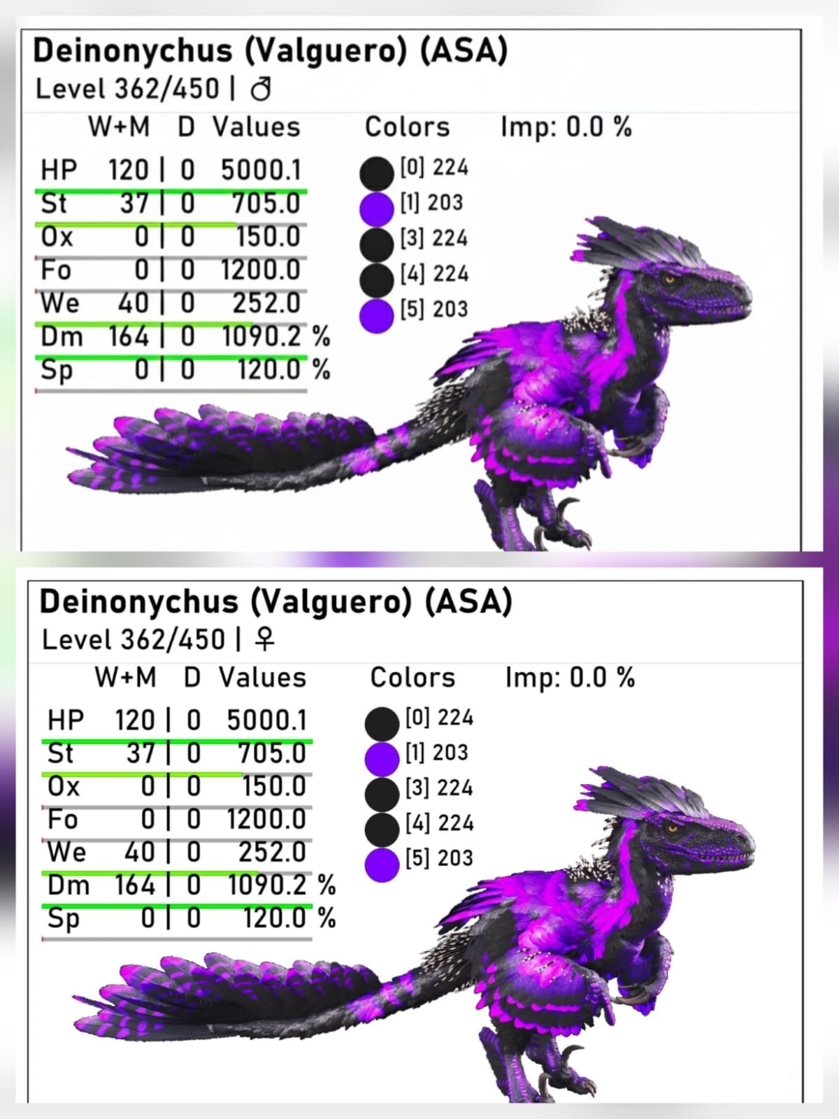 New top Deinonychus adult breeding pair level 362 Ark Ascended PVE PC/XBOX/PS5