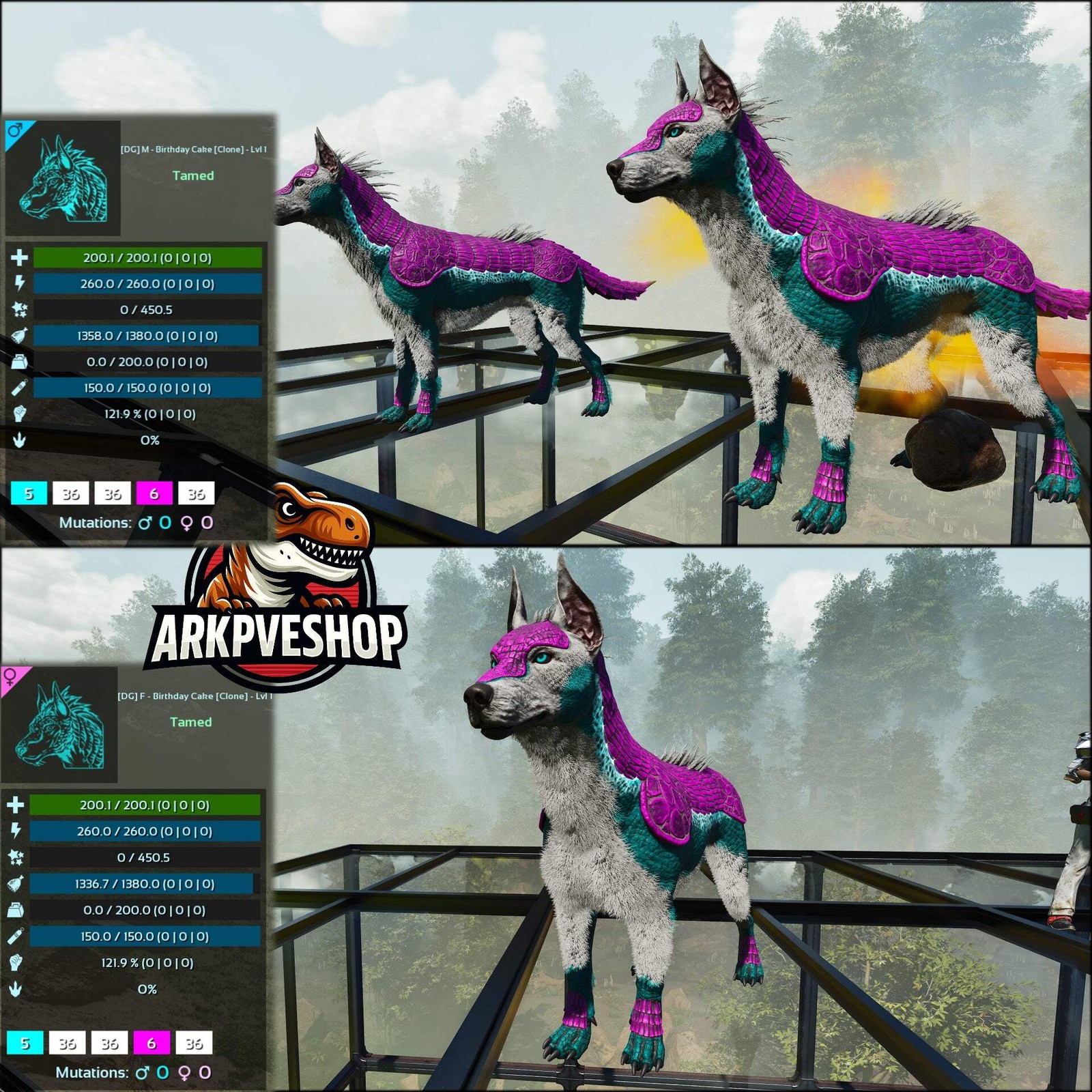 ASA PVE 🦖ARK Survival Ascended Armadoggo Lvl 1 Clone