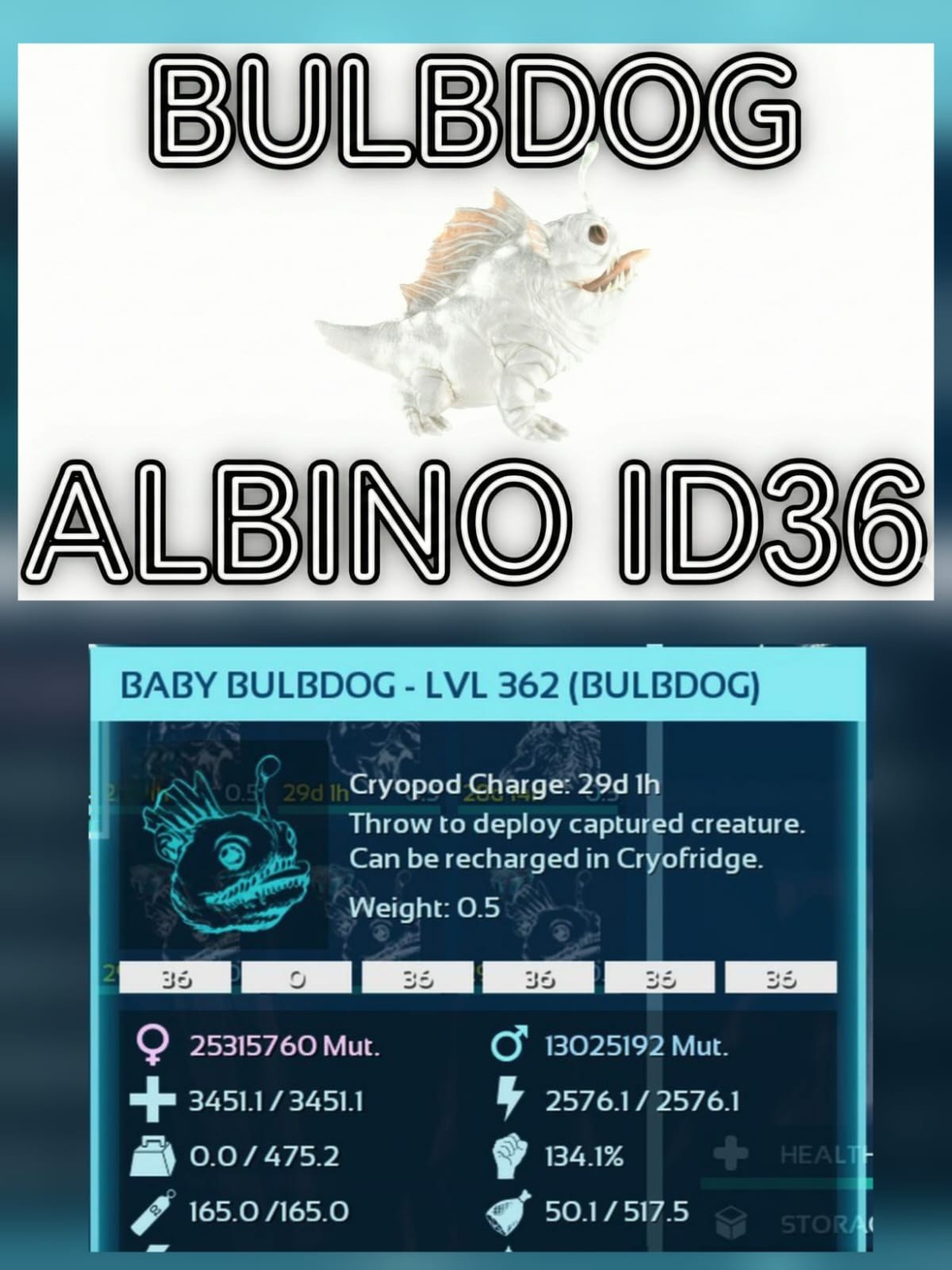 Bulbdog Baby [High Status Color] Ark Ascended Pve Official PC/XBOX/PS5