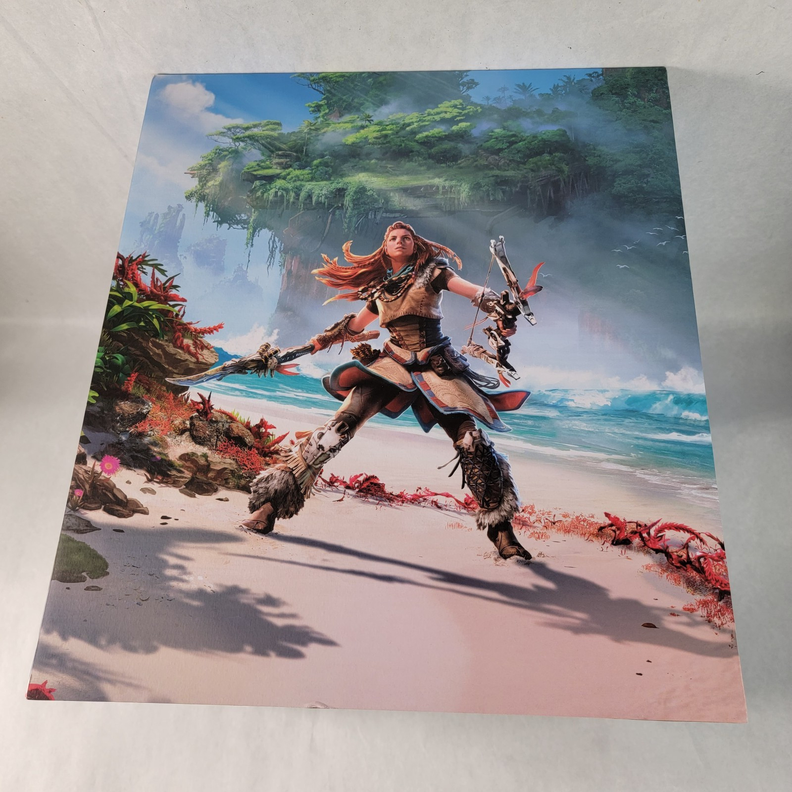 Horizon Forbidden West Collectors Edition Sony PlayStation 5 2022 Packaging Only