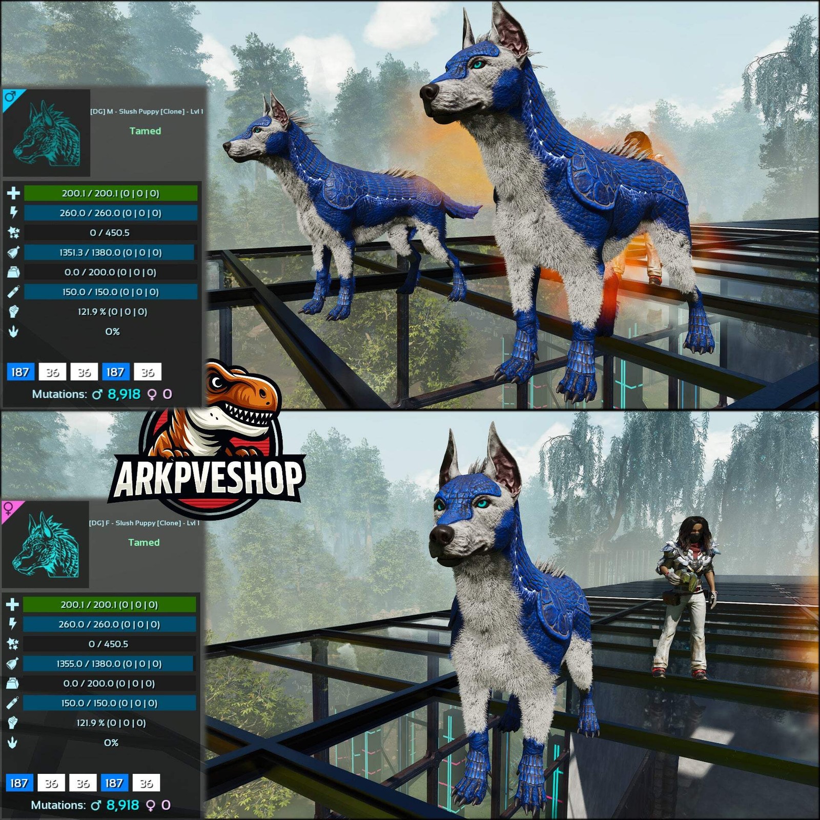 ASA PVE 🦖ARK Survival Ascended Armadoggo Lvl 1 Clone