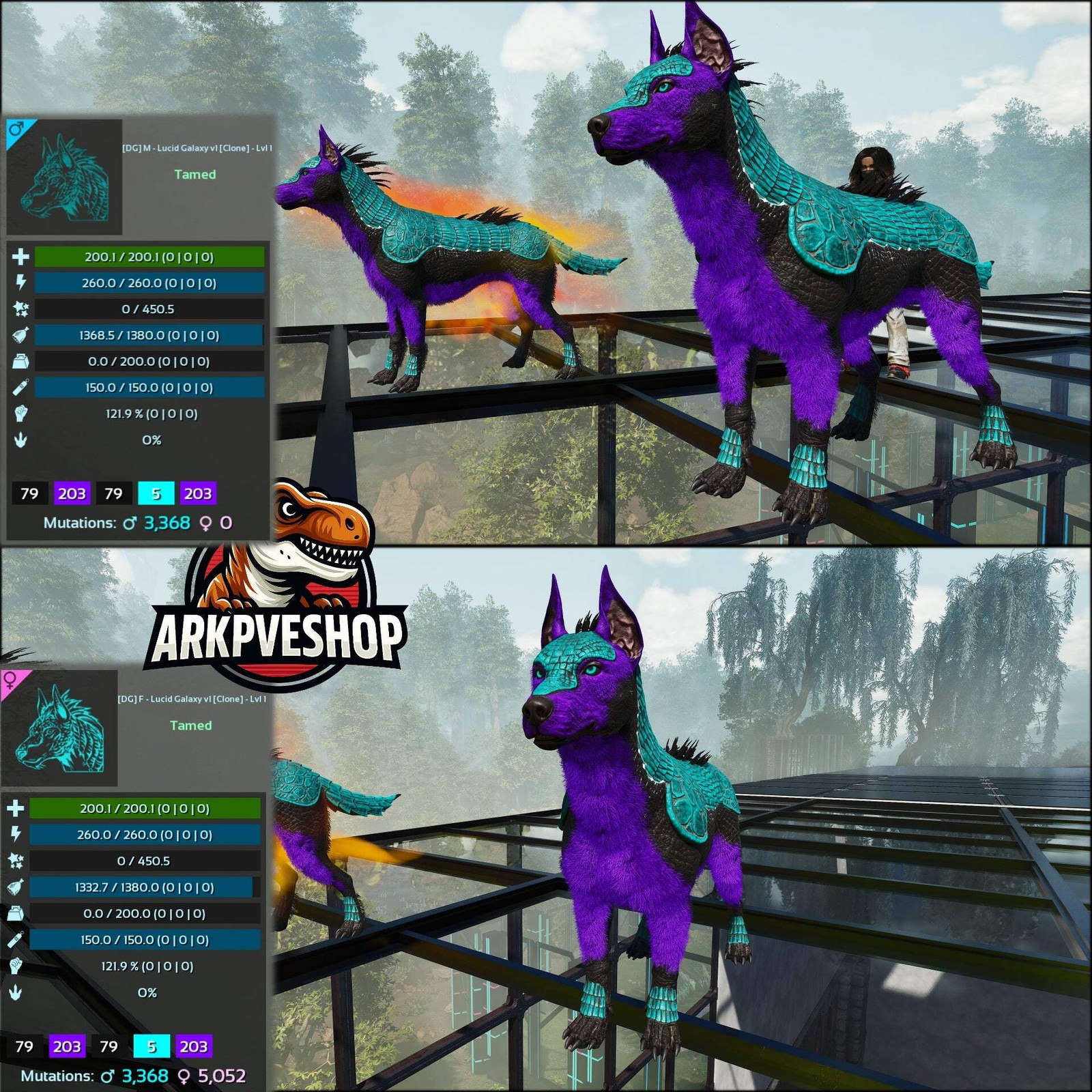 ASA PVE 🦖ARK Survival Ascended Armadoggo Lvl 1 Clone