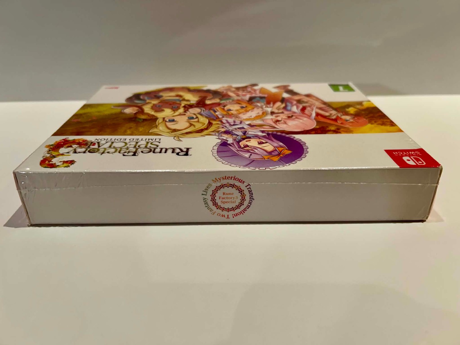 Rune Factory 3 Special Limited Edition PAL Region Free Switch Box Damage