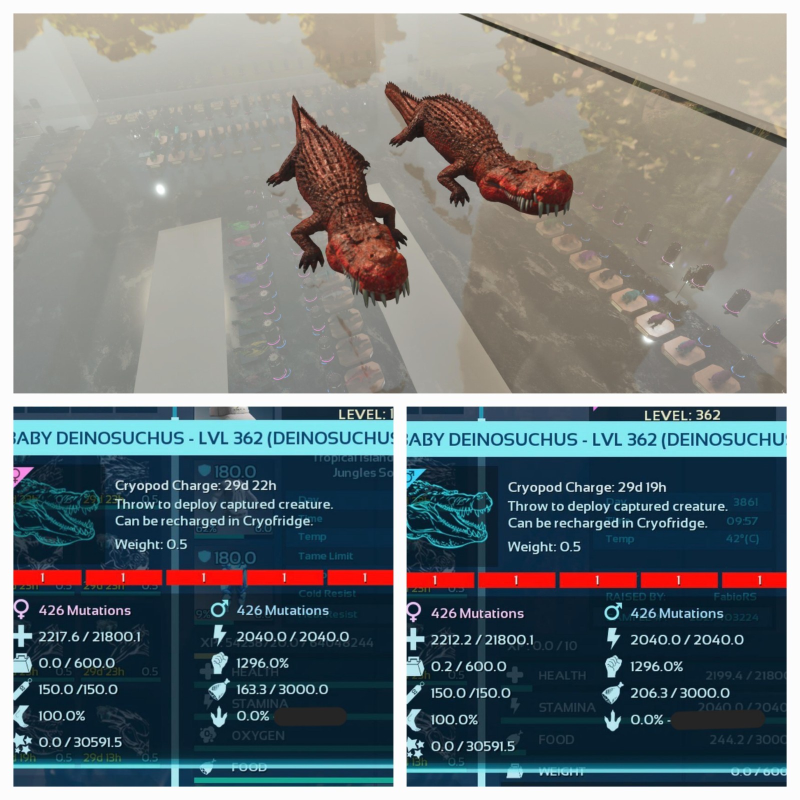 ARK ASCENDED PVE OFFICIAL PAIR BABY DEINOSUCHUS RED NEW TOP STATUS 1296% MELEE