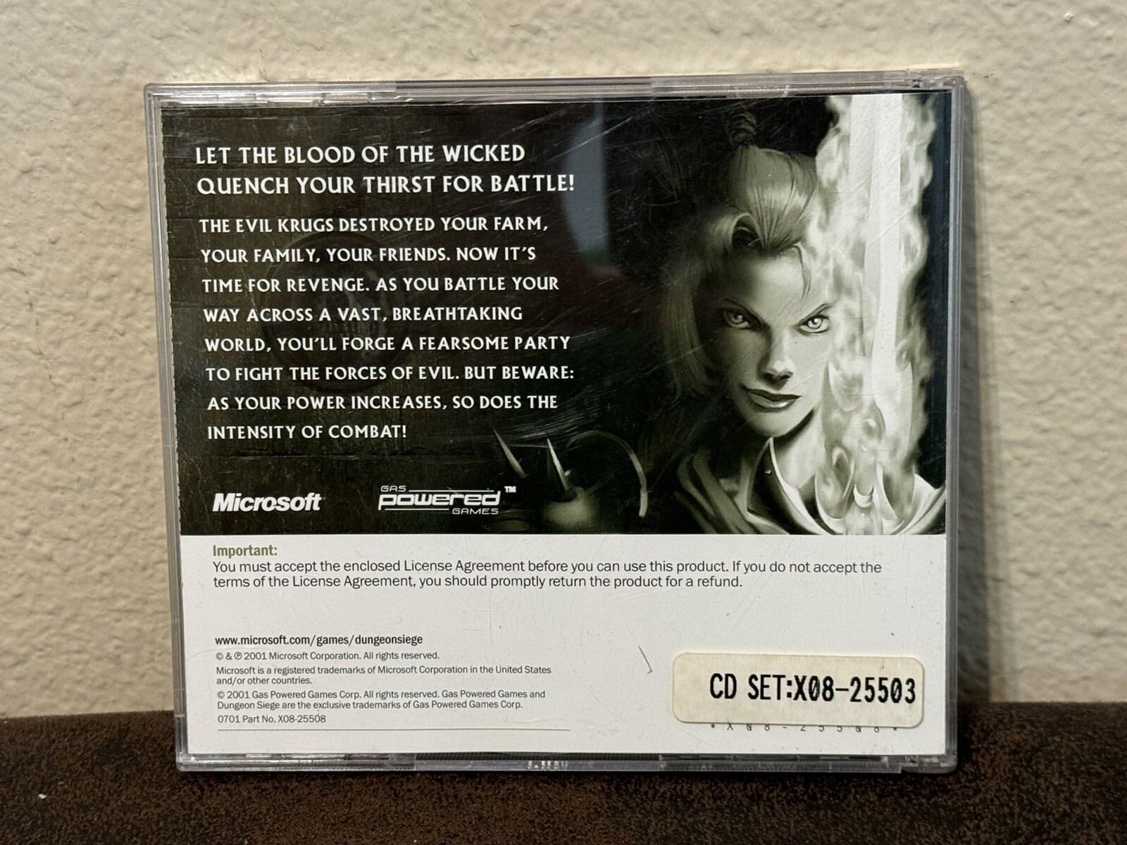 Dungeon Siege PC CD-ROM Computer Video Game RPG Strategy 2002
