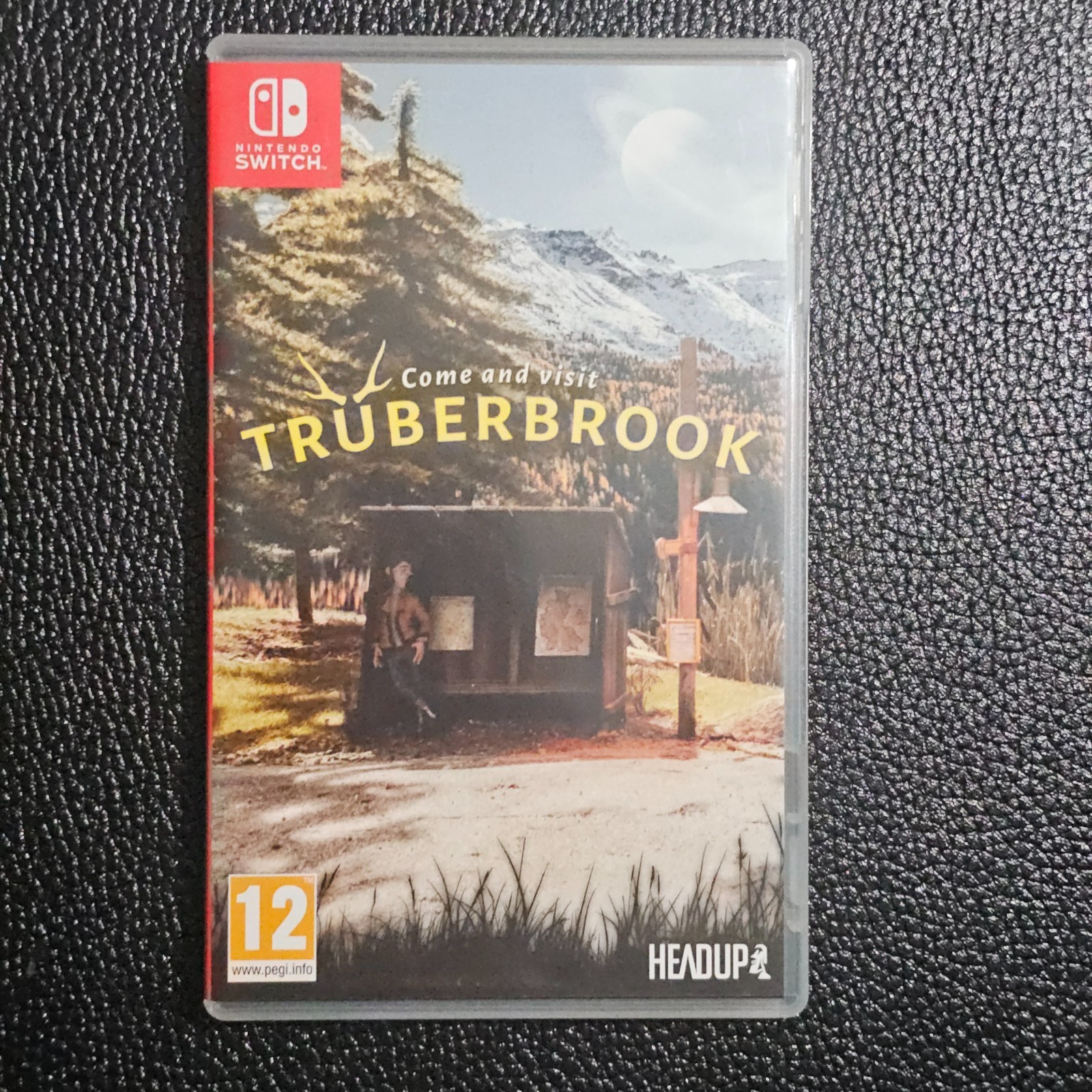 Truberbrook – Nintendo Switch EU Import – SHIPS IN A BOX