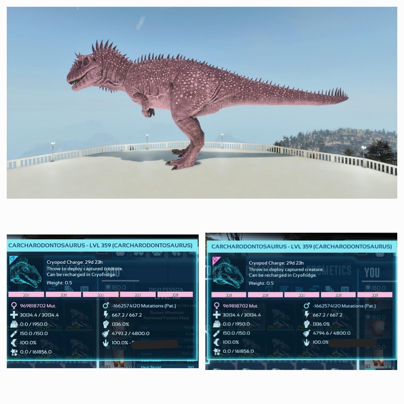 CARCHA ID221 1100 MELEE PAIR ADULT 100% IMPRINT ARK ASCENDED PVE. PC/XBOX/PS5.