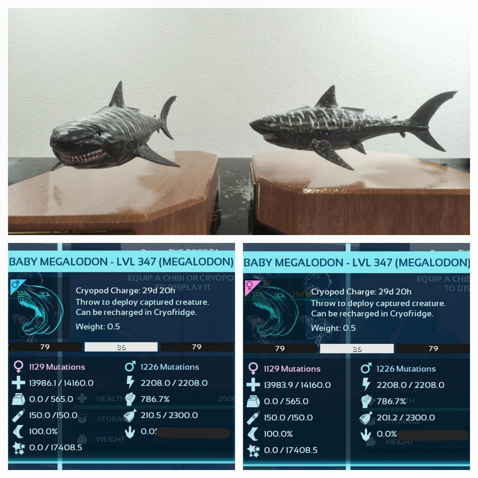 ARK ASCENDED PVE OFFICIAL PAIR BABY MEGALODON OREO HIGH STATUS PC/XBOX/PS5