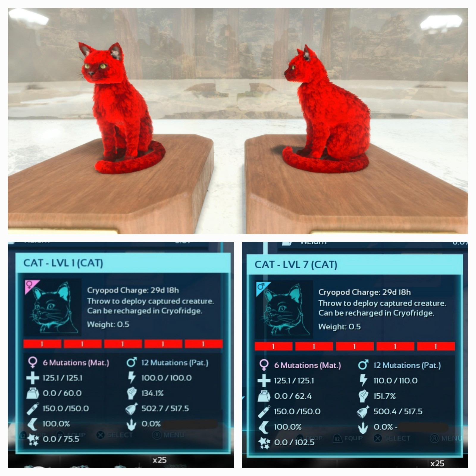 ARK ASCENDED PVE OFFICIAL PAIR CLONE CAT FULL RED ID01 (LOW LEVEL) PC/XBOX/PS5