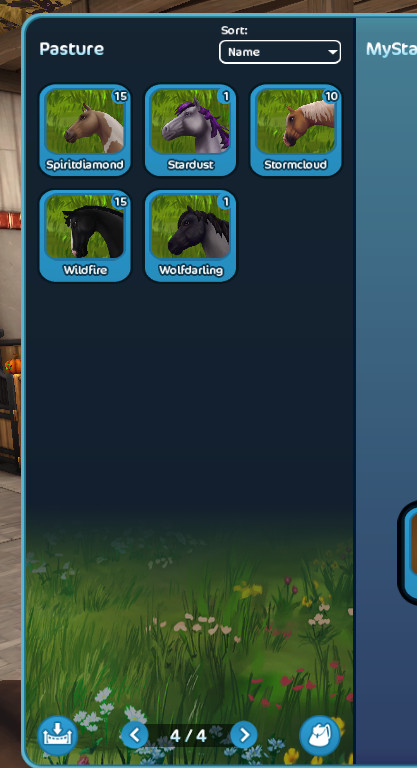Star Stable Account