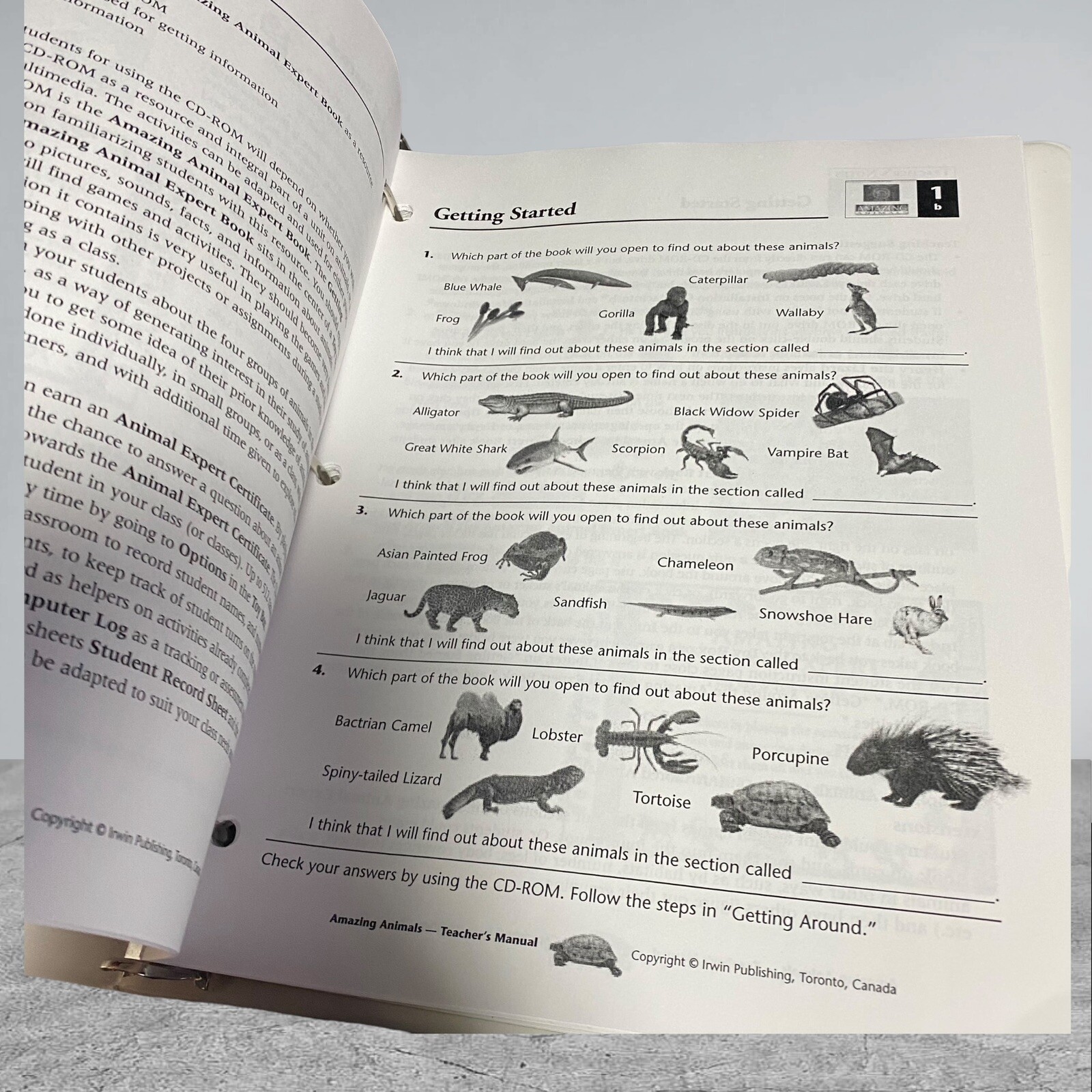 Amazing Animals Activity Center Notebook Work Sheets CD-ROM Interactive Learning