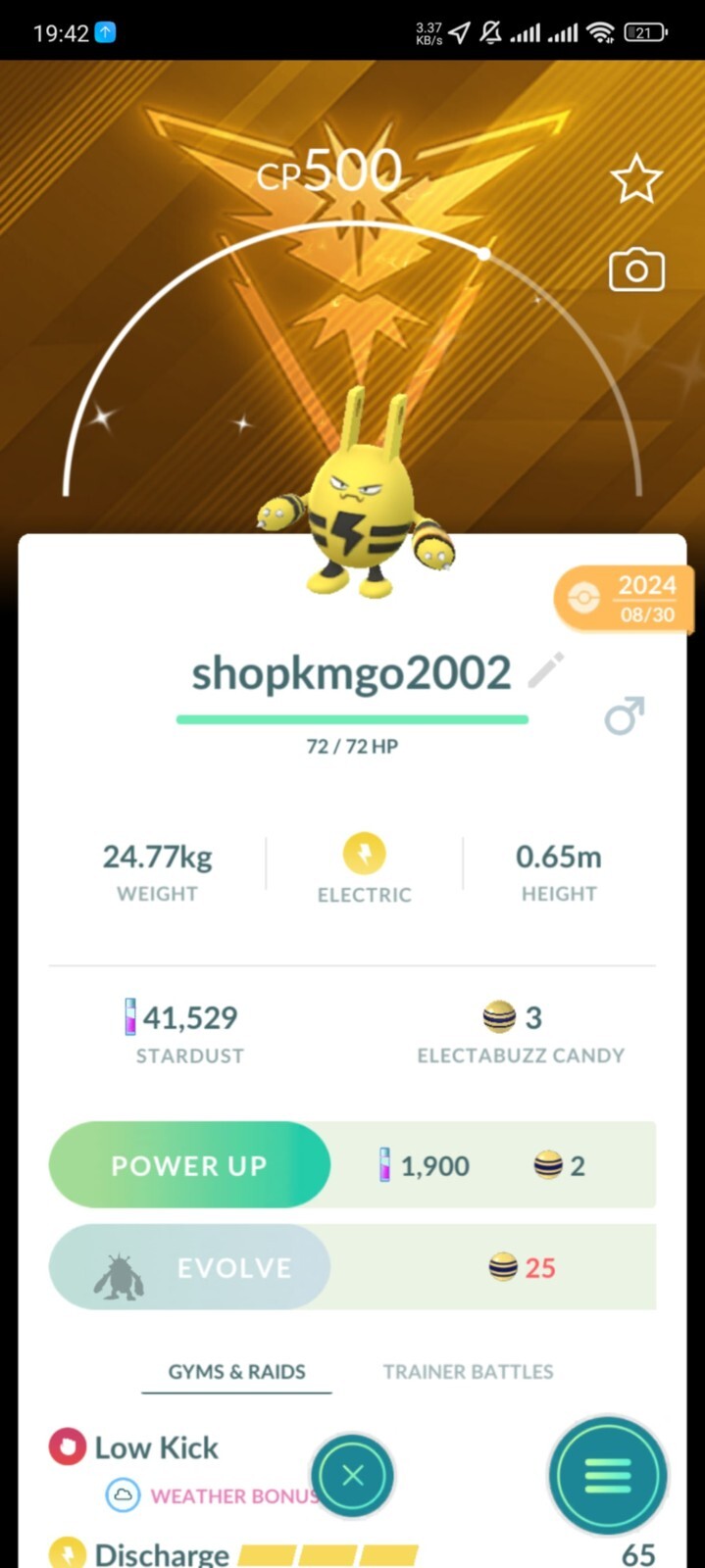 Shiny Elekid Wearing A Spark-Themed—–20k SD