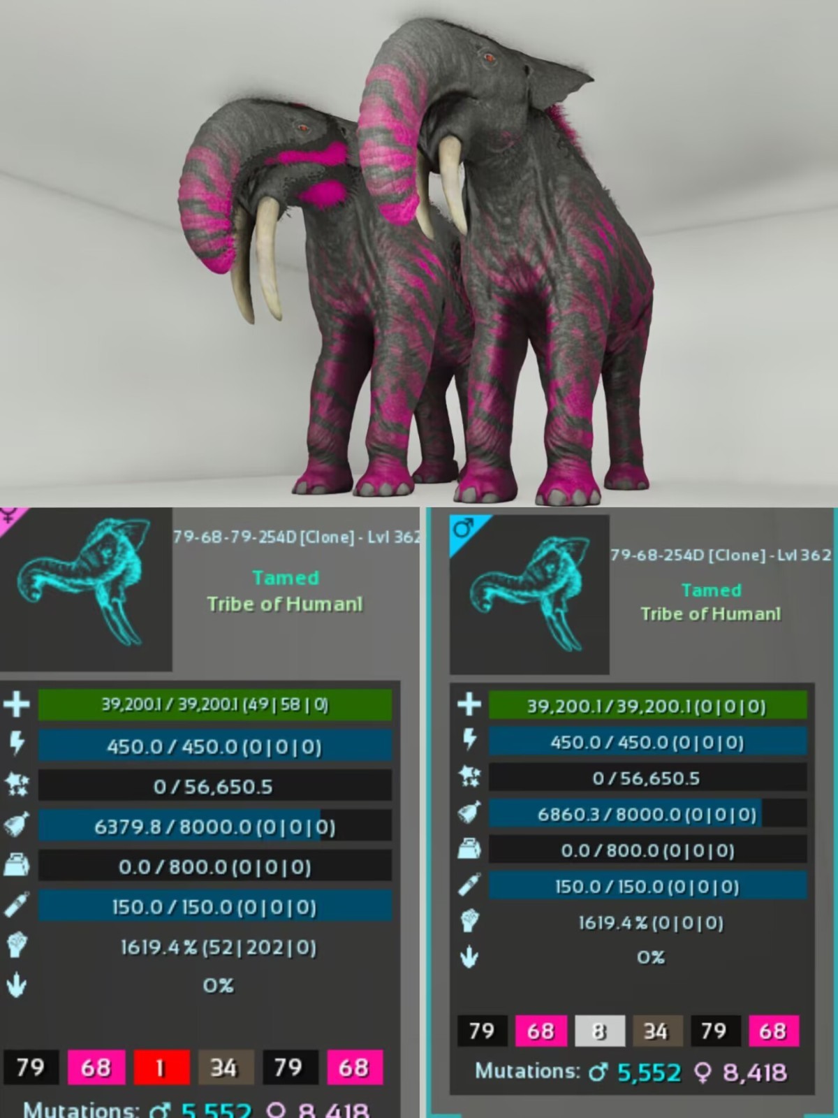 Deinotherium Pair 1619% Melee ARK🦕 Survival Ascended ASA PVE PC/XBOX/PS