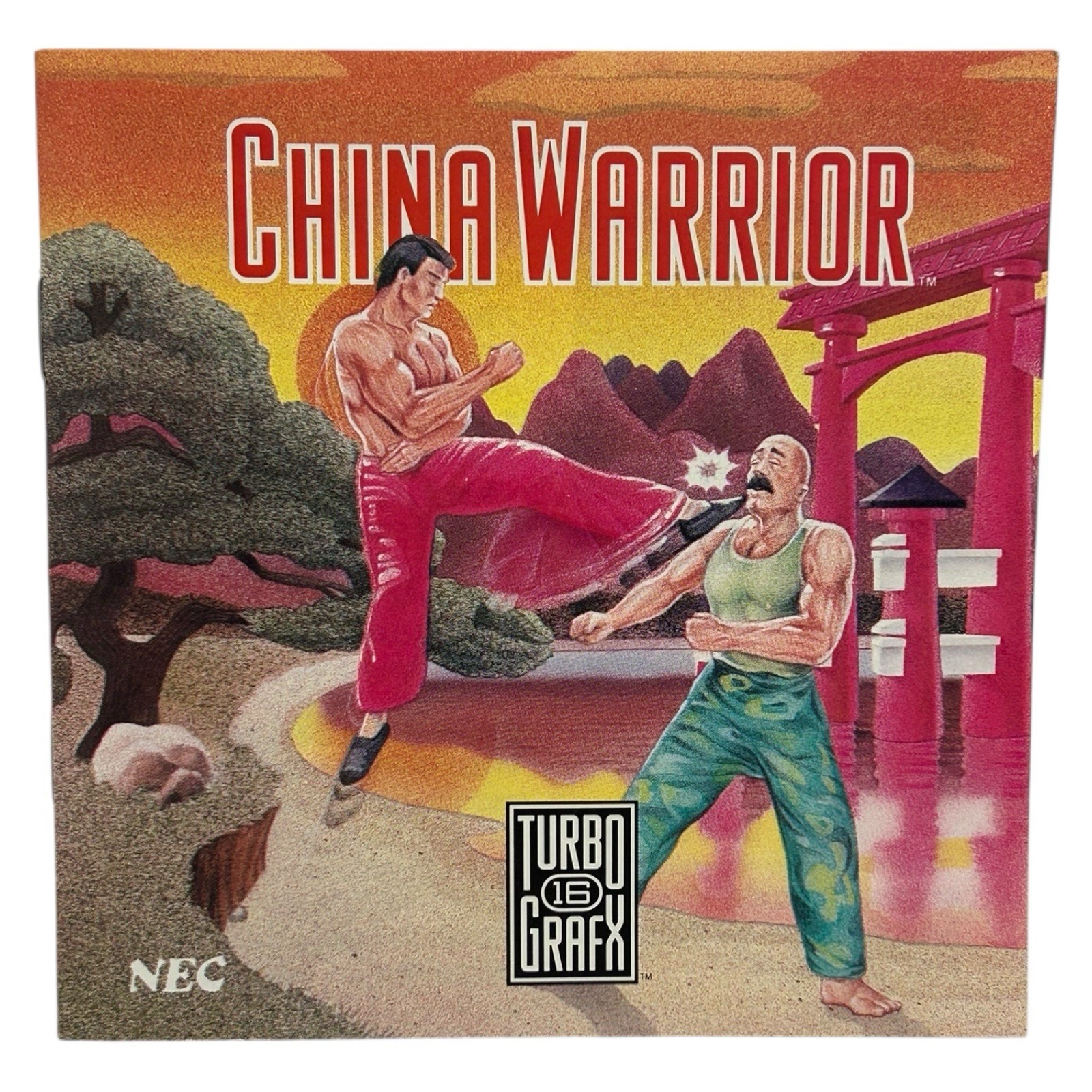 China Warrior (TurboGrafx-16, 1989) TG16 CIB Complete w/ Manual Tested