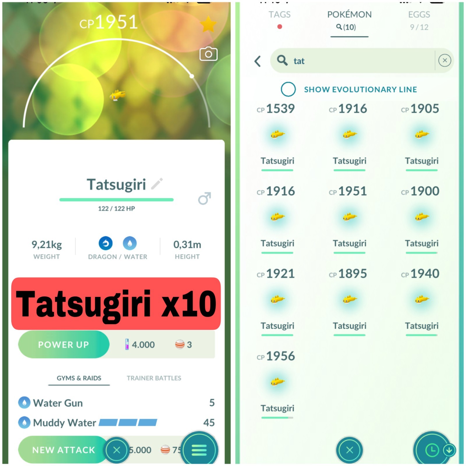 Tatsugiri x10 – Stretchy Form Tatsugiri | Mini P T C 100K Stardust