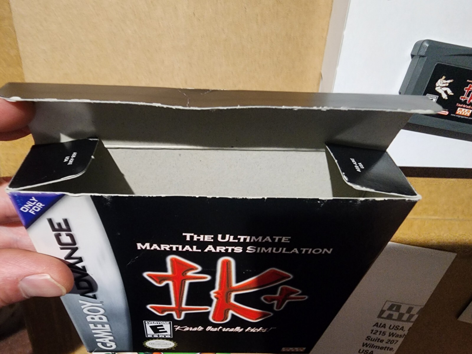 IK+: The Ultimate Martial Arts Simulator (GameBoy Advance GBA) 100% Complete! NM