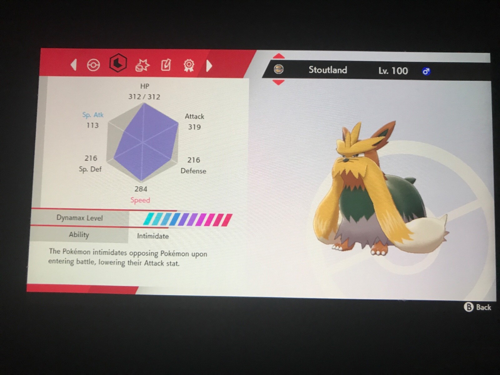 Pokemon Sword And Shield Shiny Druddigon and Stoutland Bundle 6IV Battle Ready