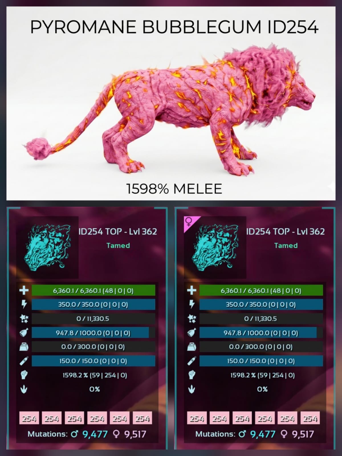 Pyromane Top Stats BABY PAIR Ark Survival Ascended Official PVE PC/XBOX/PS5