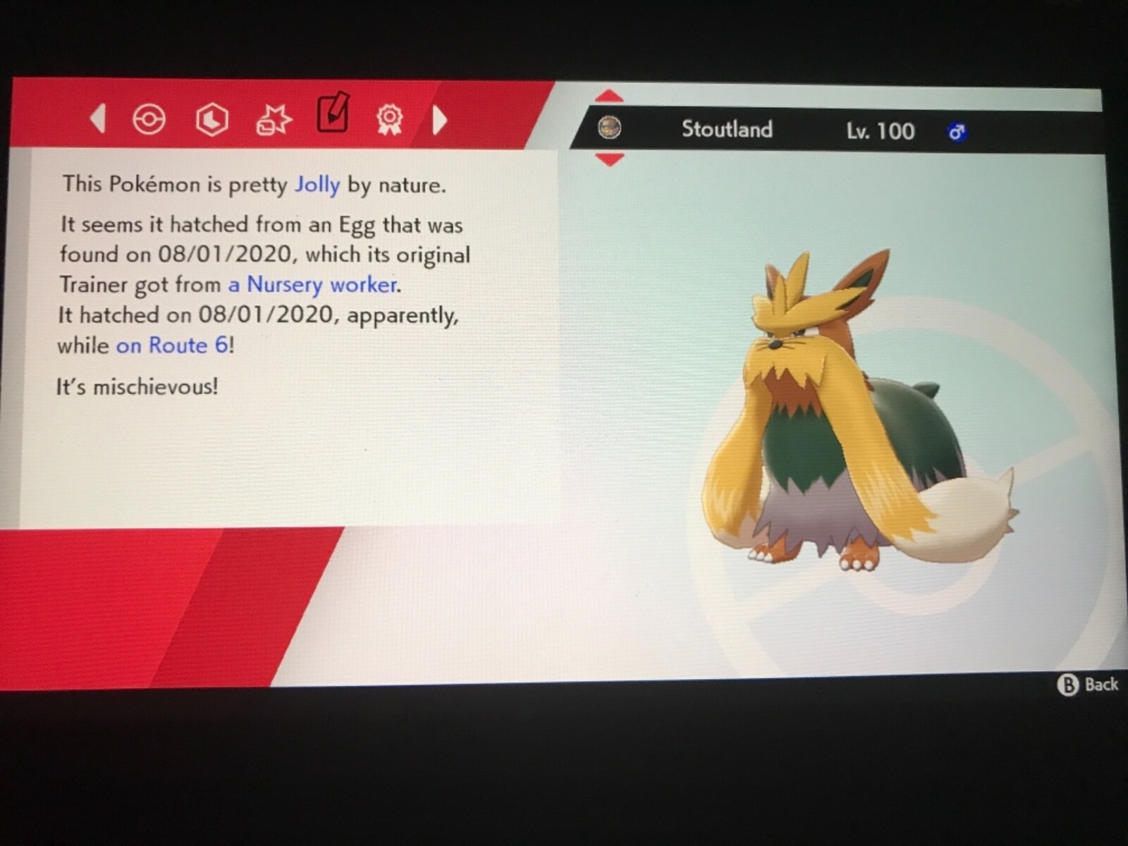 Pokemon Sword And Shield Shiny Druddigon and Stoutland Bundle 6IV Battle Ready