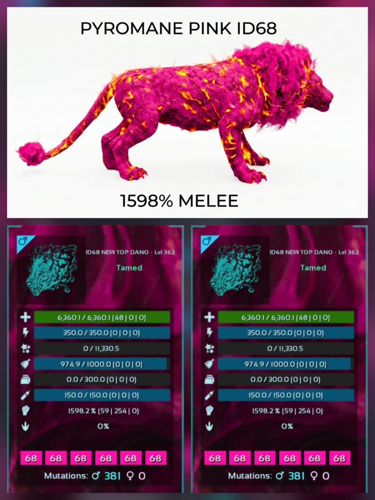 Pyromane Top Stats BABY PAIR Ark Survival Ascended Official PVE PC/XBOX/PS5