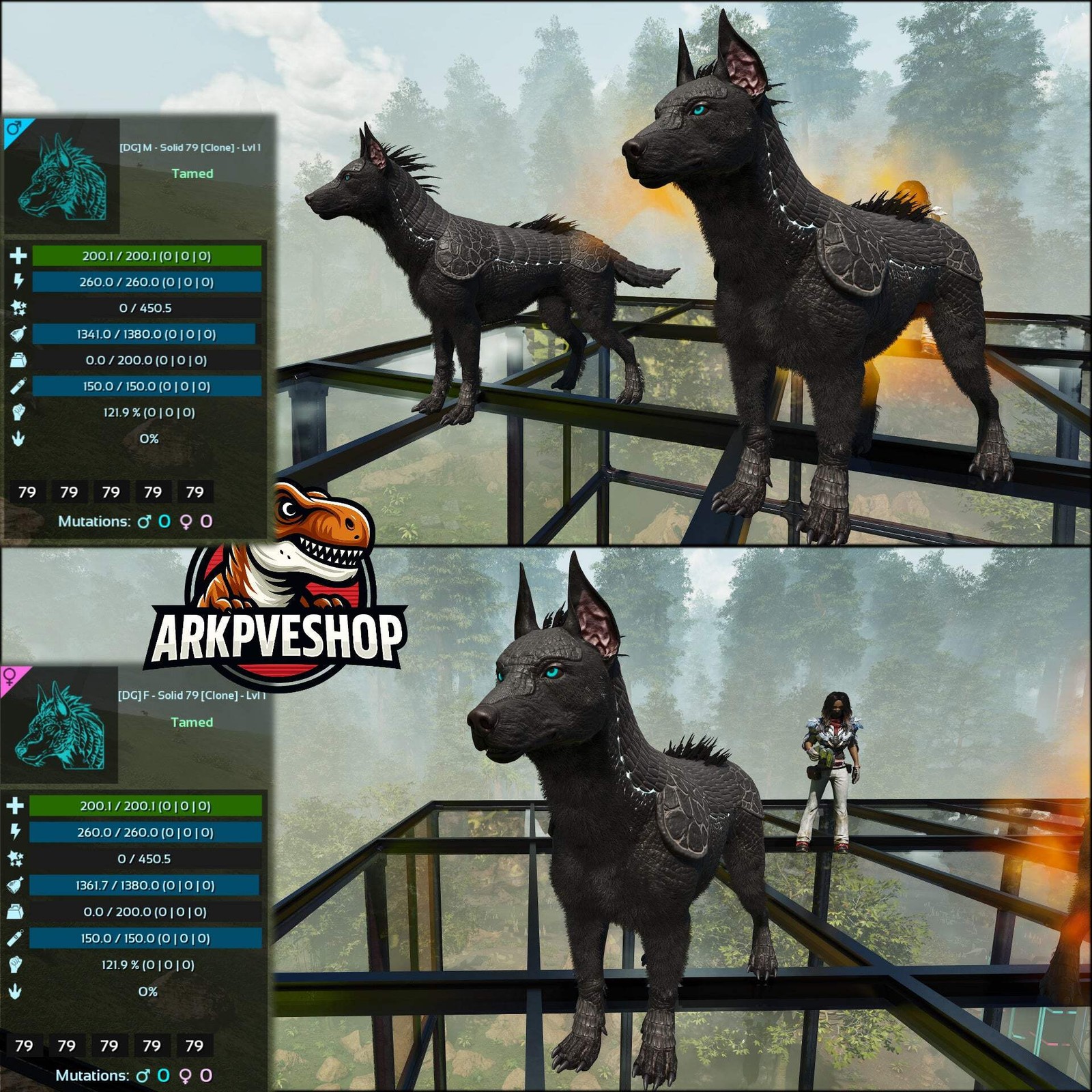 ASA PVE 🦖ARK Survival Ascended Armadoggo Lvl 1 Clone