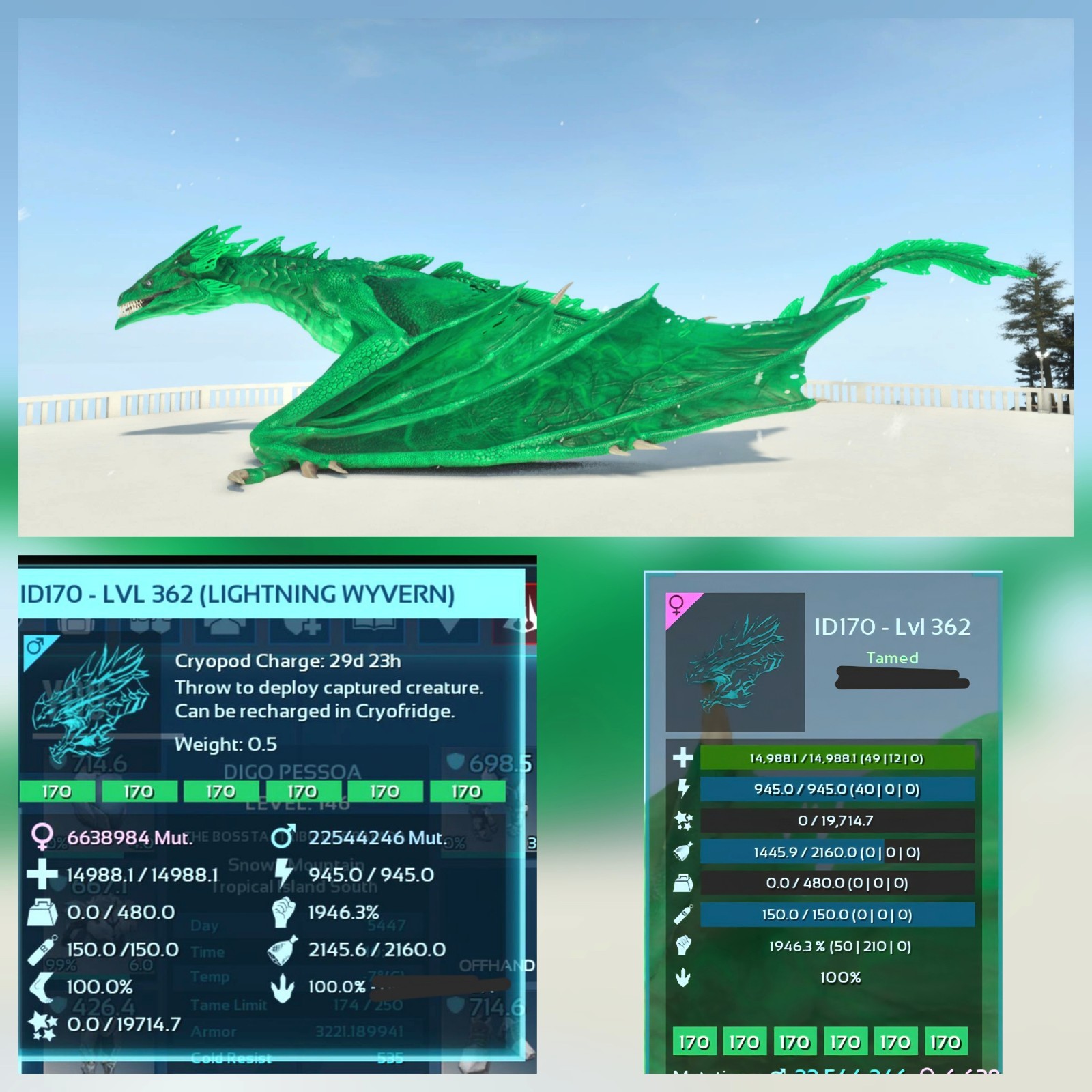WYVERN LIGTHNING FULL COLOR PAIR ADULT 100% IMPRINT ARK ASCENDED PVE PC/XBOX/PS5