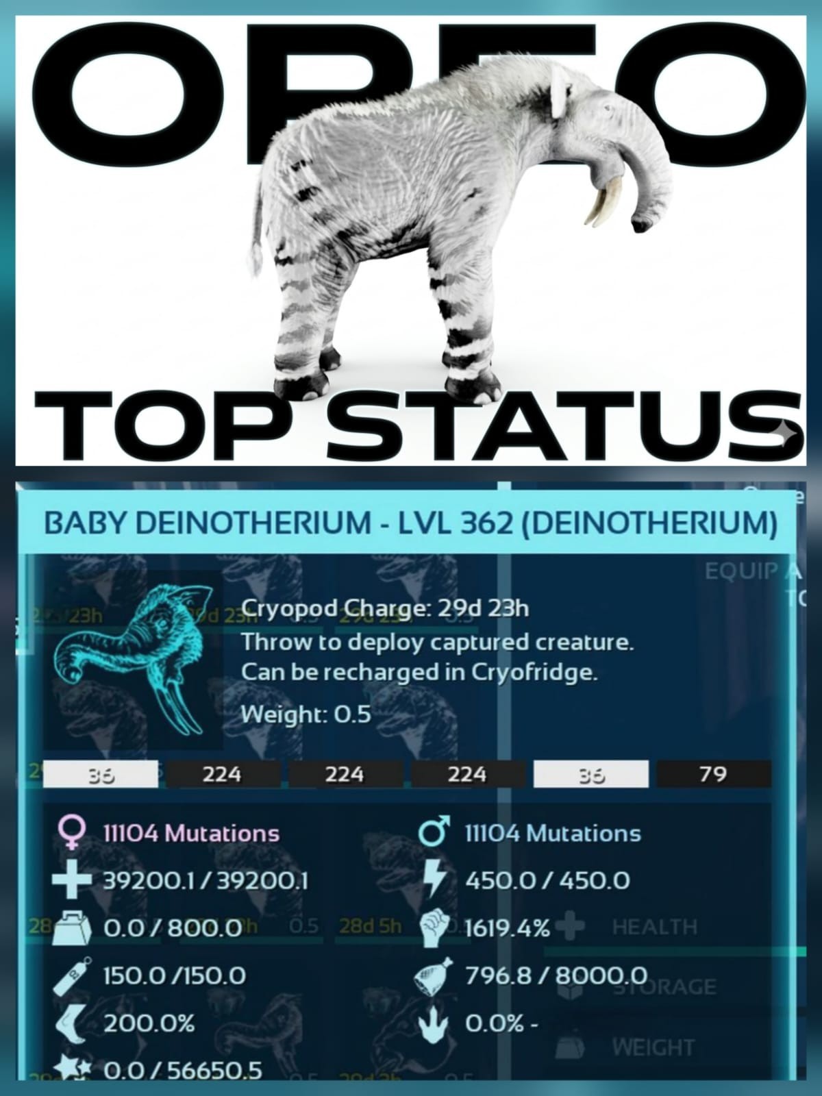 Deinotherium Top Stats Level 362 Baby Ark Ascended Pve Official-Asa PC/XBOX/PS5