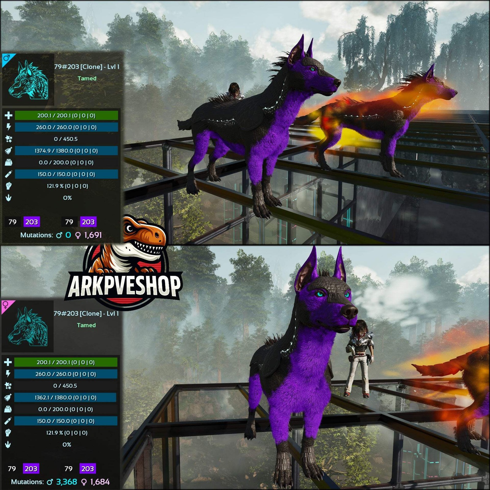 ASA PVE 🦖ARK Survival Ascended Armadoggo Lvl 1 Clone