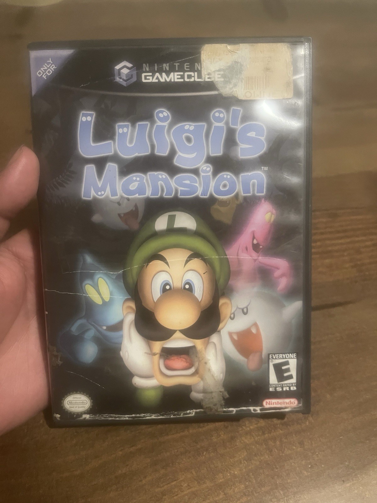 Luigi’s Mansion – Nintendo Cube Missing Manual