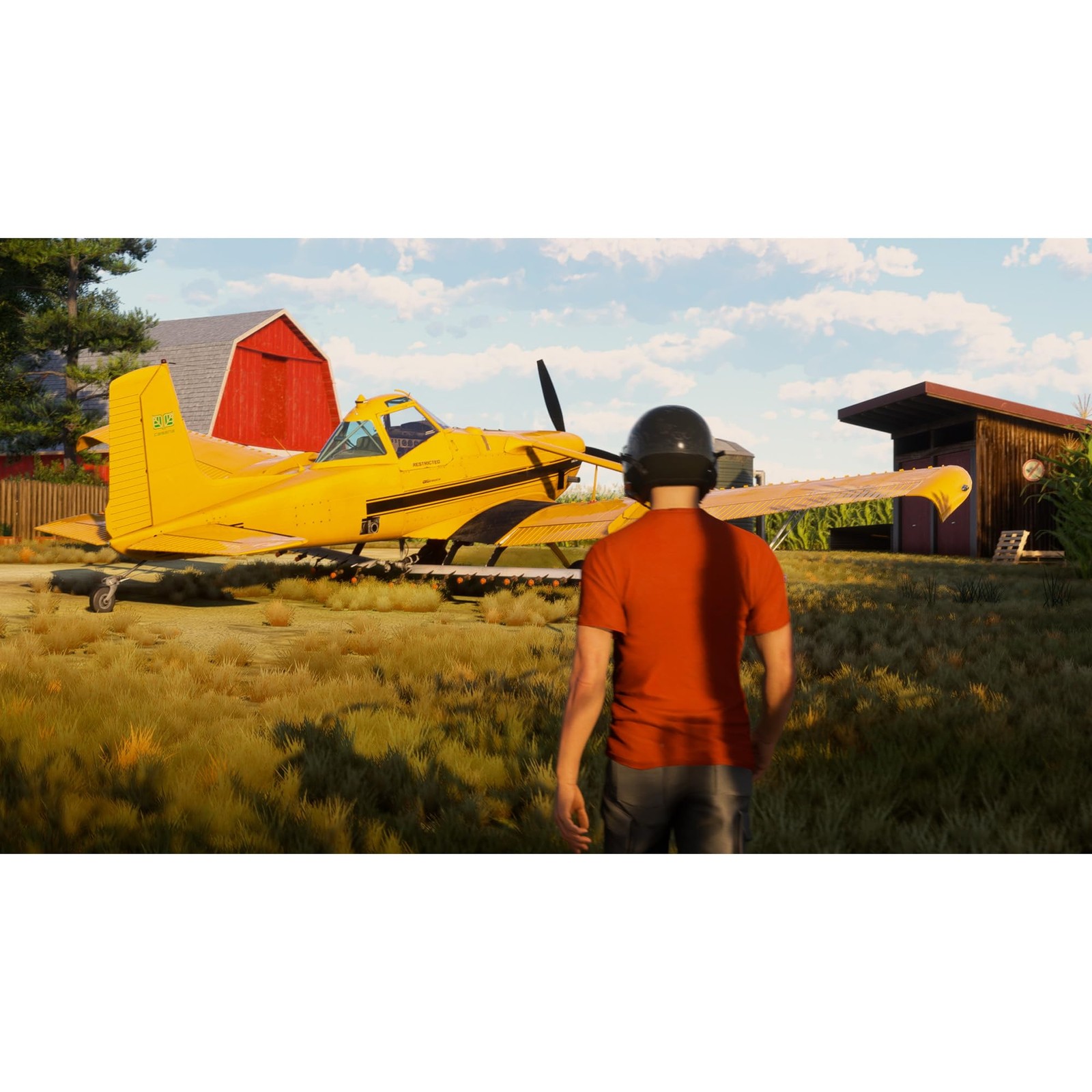 Microsoft Flight Simulator 2024 Japan PS5