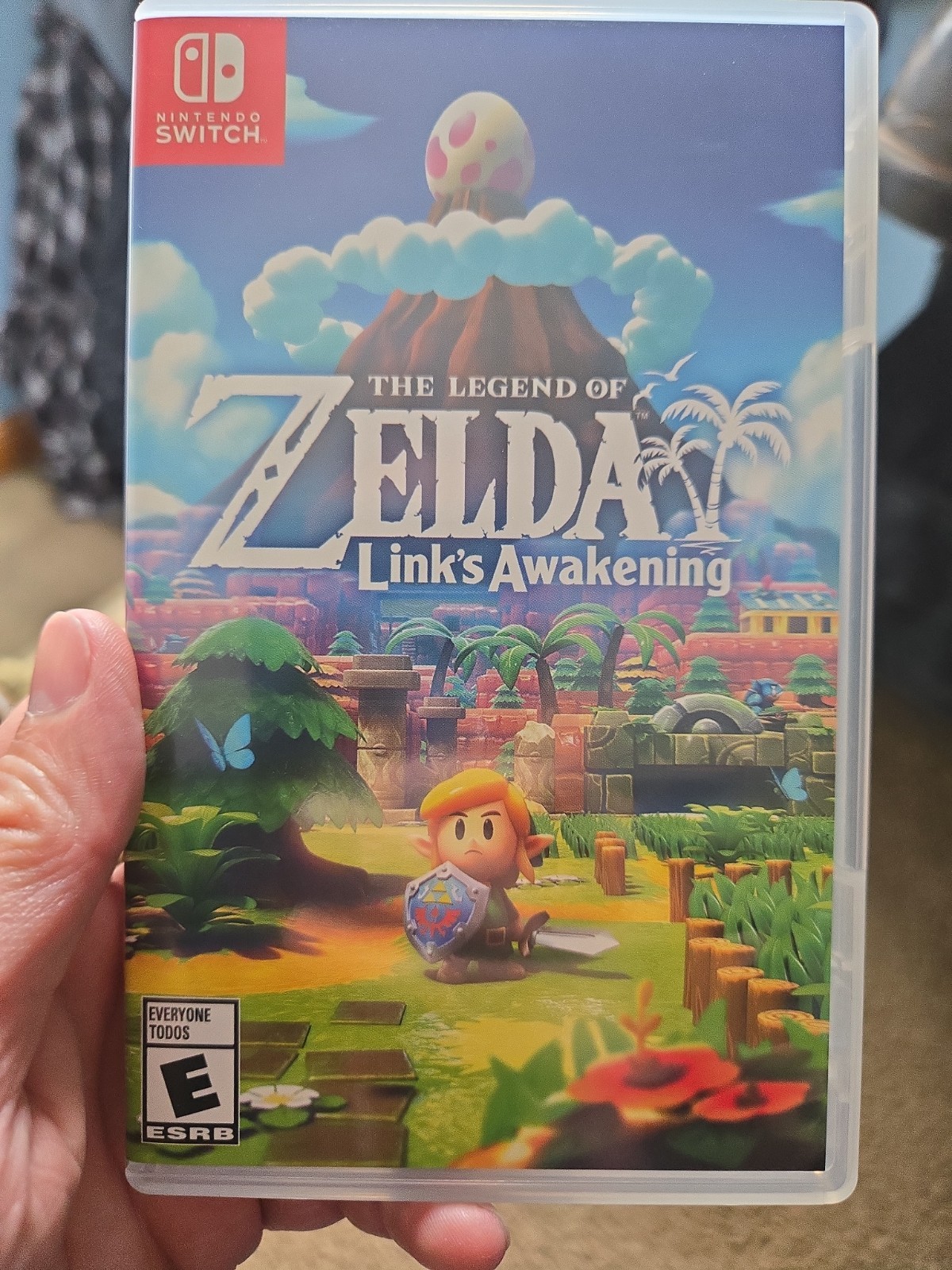 Nintendo Switch the Legend of Zelda: Link’s Awakening 2019