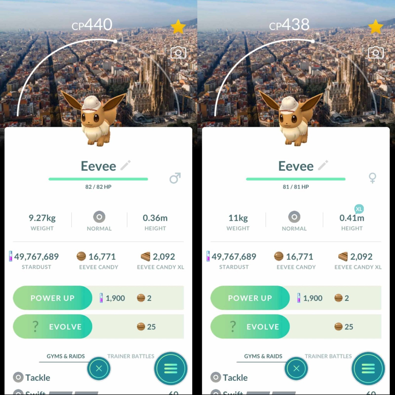 Pokemon Eevee Wearing an Explorers Hat Background Barcelona Safari – TRADE