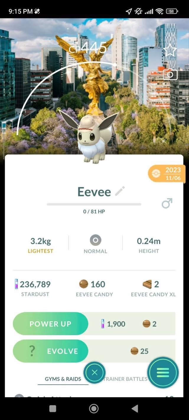 Shiny Eevee Safari Mexico ( Male ) ✨Pokemon Go✨