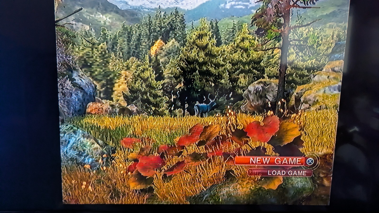 Cabela’s Hunting Game Bundle Lot Sony PlayStation 2 PS2 – Resurfaced Tested