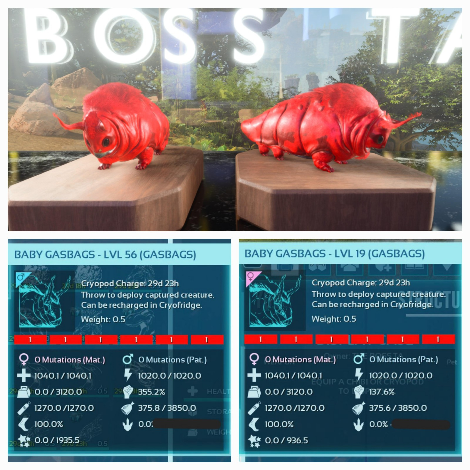 ARK ASCENDED PVE OFFICIAL PAIR BABY GASBAGS RED ID01 PC/XBOX/PS5